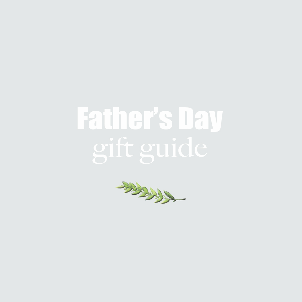 Father's Day Gift Guide Chic Over 50